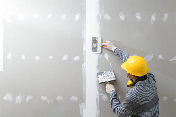 Best Ceiling Drywall Installation  in El Cerrito, CA